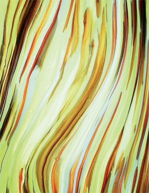 LG-S25|Lamberts Lemon Yelow and Selenium Orange|Lamberts Glass 